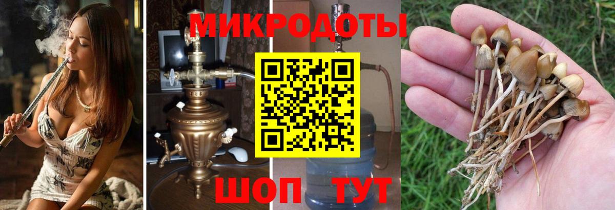 Екатеринбург  Псилоцибиновые грибы прущие грибы  Псилоцибиновые грибы ЛСД  Вход с VPN 