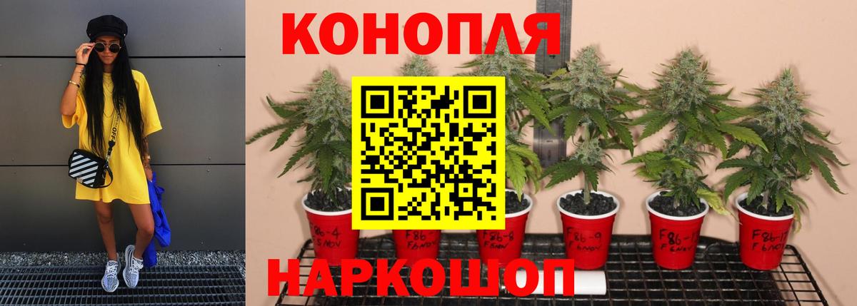 Бошки Шишки MAZAR Екатеринбург